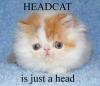 Don't laff, iz not funny.