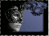 FANTASY
