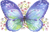 Sparkly Butterfly