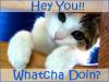 Whats up?