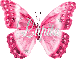 Pink-butterfly