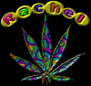 Rachel Pot Leaf