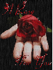A Rose You You