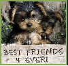 Best Friends 4 Ever!