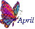 aprils butterfly