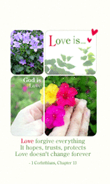 LOVE IS