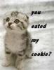 awwwww u ate kitties cookie