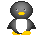cutey penguin