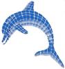 Tiled Dolphin