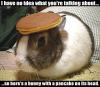 bunny with a pancake