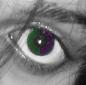 Purple-Green Eye