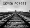 Auschwitz Never Forget