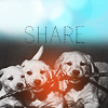 Puppies Share