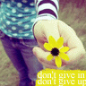 don't give in don't give up 