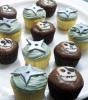 pirate ninja cupcakes