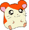 hamster mouse