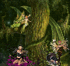 forest fairies