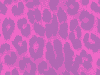 pink leopard 5