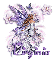 Virginia - Lavender Fairy