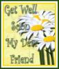 Get Well Soon Daisies