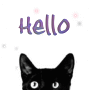 hello cat.. =3