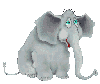 elephant/sad