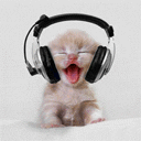 Music Loving Cat