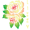LIZZY ROSE COLORS