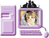 PC kitty