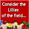 Consider the Lillies of the Field