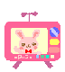 hello bunny tv