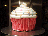 the biggest cup cake in the world