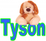 Puppy - Tyson