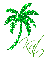 Kat - Green Palm Tree