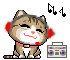 music lover cat