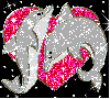 Dolphins and love heart