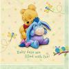 Pooh & Eeyore~Baby Day Fun