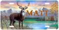 Deer Tag~Matt