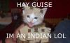 Indian Cat