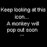 icon monkey!