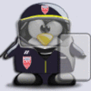 policeman penguin