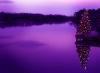 Christmas Tree by Lake