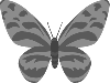 Gray Butterfly