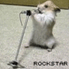 Rock 'n' roll hamster!