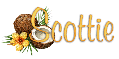 coconuts scottie
