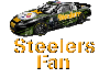 Steelers Fan