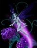 purple fairy 