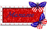 Manasee 4th of July 