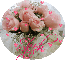 Pink Roses in Teapot in circle (with floating hearts)- Steph
