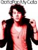 Nick Jonas-pop my colla